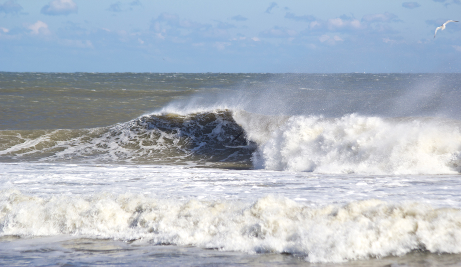 Phil Goodrich. Photo: <a href=\"https://www.chrisfrickphotography.com/\" target=_blank>Chris Frick</a>